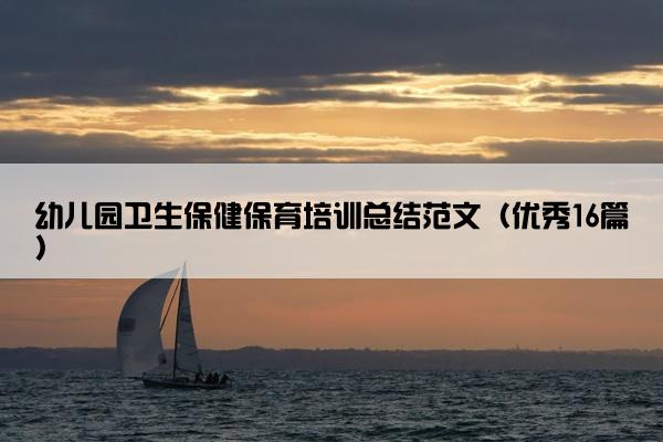幼儿园卫生保健保育培训总结范文（优秀16篇）