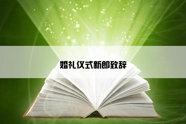 婚礼仪式新郎致辞