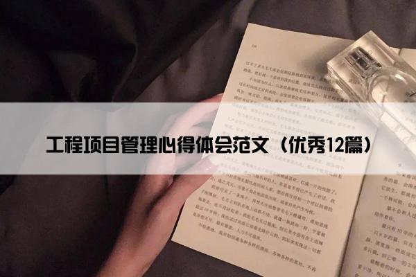 工程项目管理心得体会范文（优秀12篇）