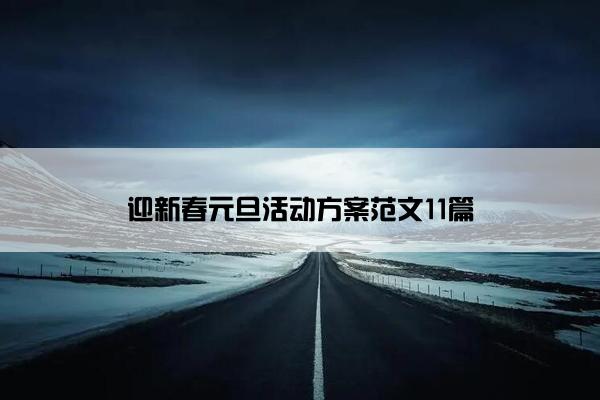 迎新春元旦活动方案范文11篇