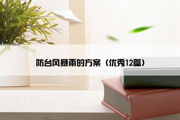 防台风暴雨的方案（优秀12篇）