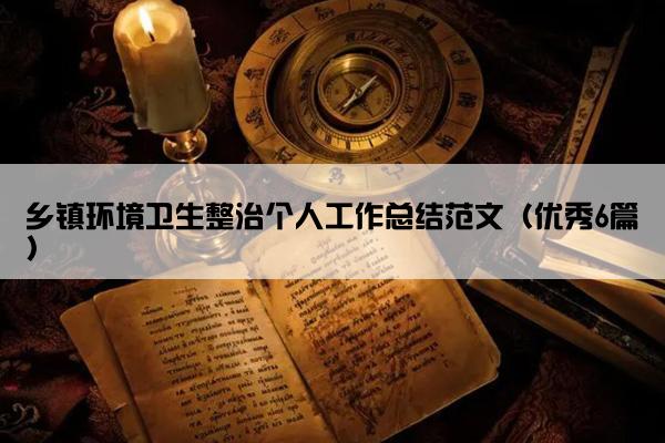 乡镇环境卫生整治个人工作总结范文（优秀6篇）