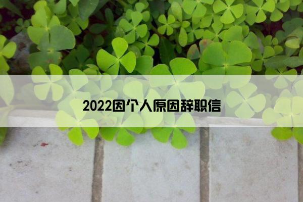 2022因个人原因辞职信