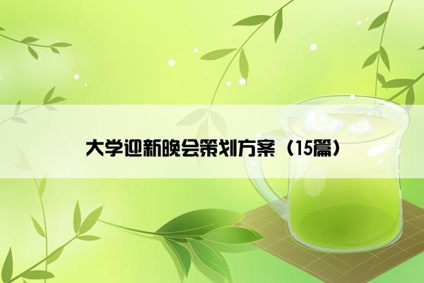 大学迎新晚会策划方案（15篇）