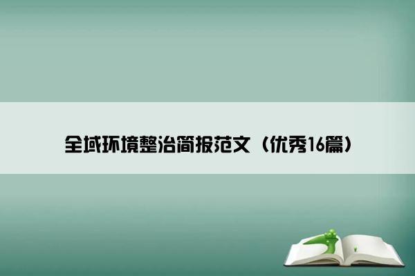 全域环境整治简报范文（优秀16篇）