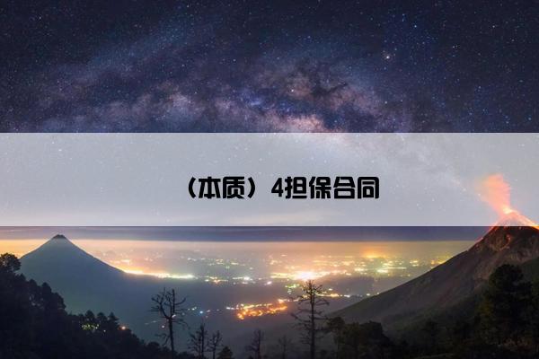 （本质）4担保合同