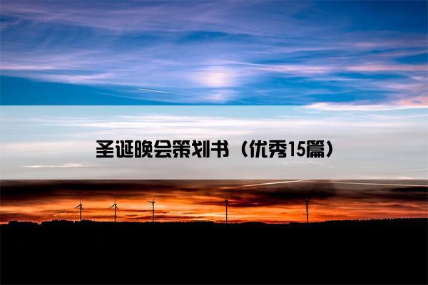 圣诞晚会策划书（优秀15篇）