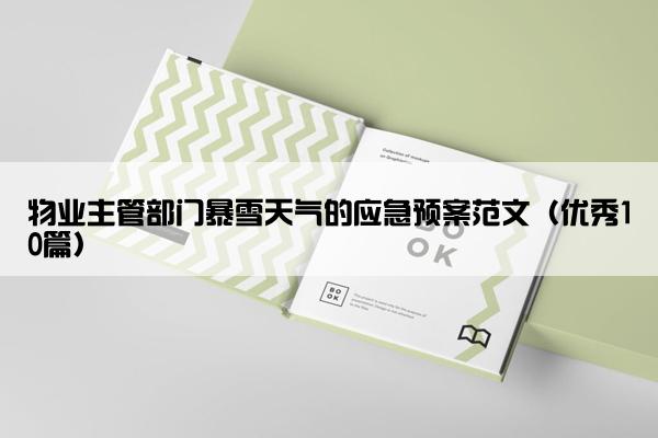 物业主管部门暴雪天气的应急预案范文（优秀10篇）