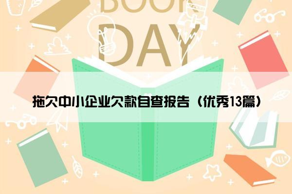 拖欠中小企业欠款自查报告（优秀13篇）