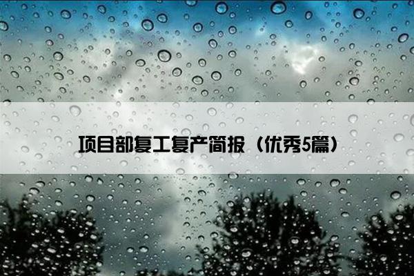 项目部复工复产简报（优秀5篇）