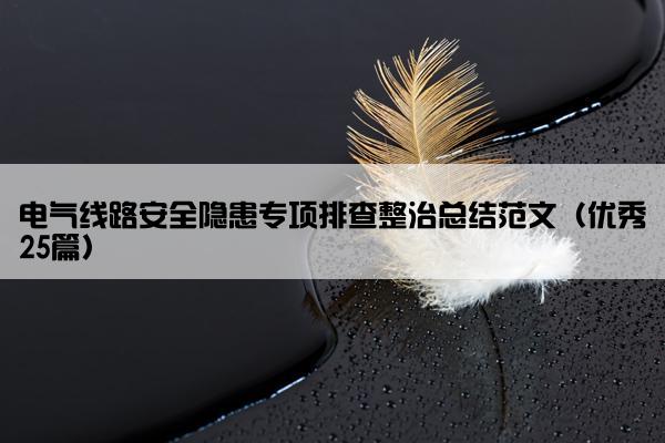 电气线路安全隐患专项排查整治总结范文（优秀25篇）