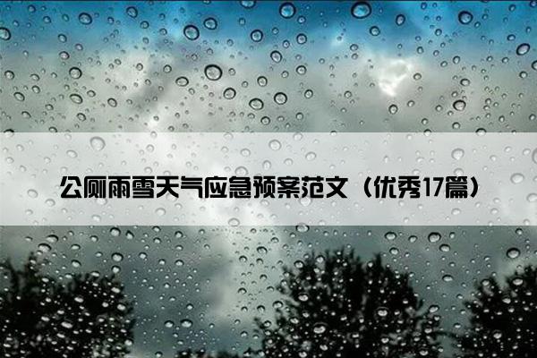 公厕雨雪天气应急预案范文（优秀17篇）