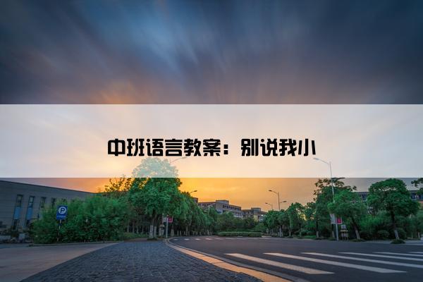 中班语言教案：别说我小