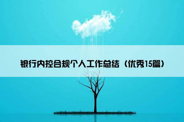 银行内控合规个人工作总结（优秀15篇）