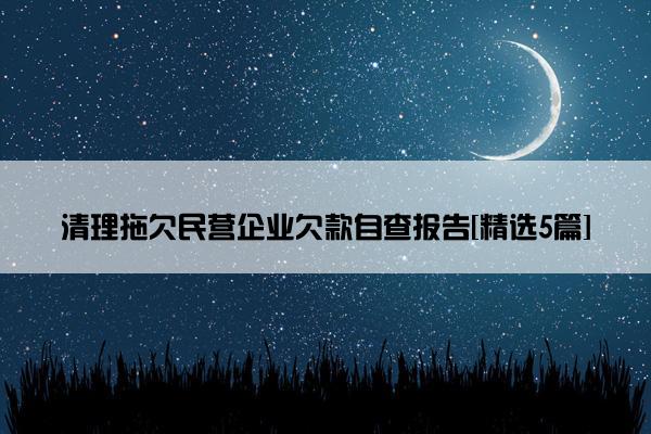 清理拖欠民营企业欠款自查报告[精选5篇]