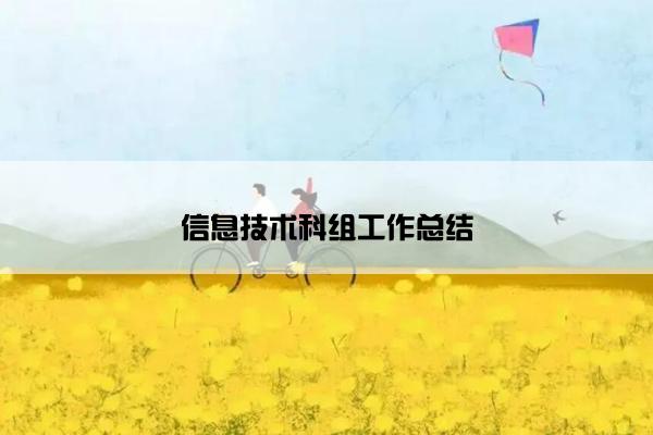 信息技术科组工作总结