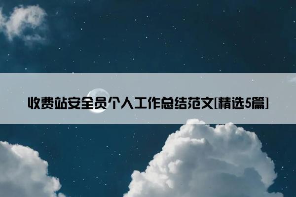 收费站安全员个人工作总结范文[精选5篇]