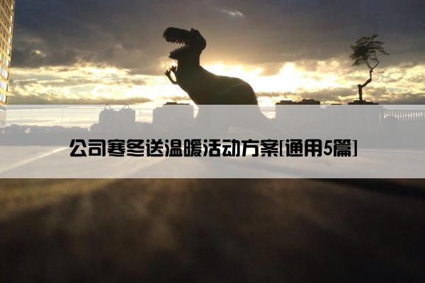 公司寒冬送温暖活动方案[通用5篇]