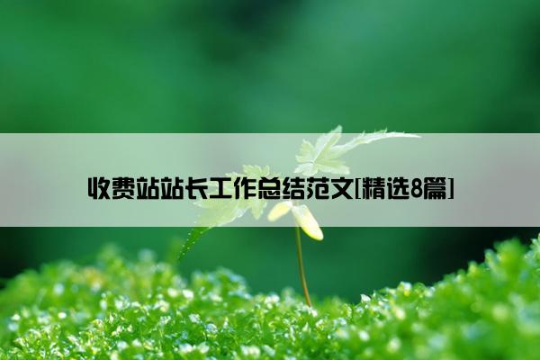 收费站站长工作总结范文[精选8篇]