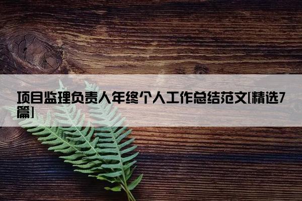 项目监理负责人年终个人工作总结范文[精选7篇]