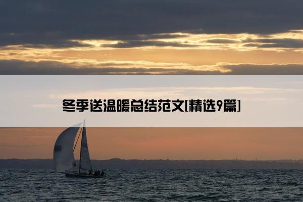 冬季送温暖总结范文[精选9篇]