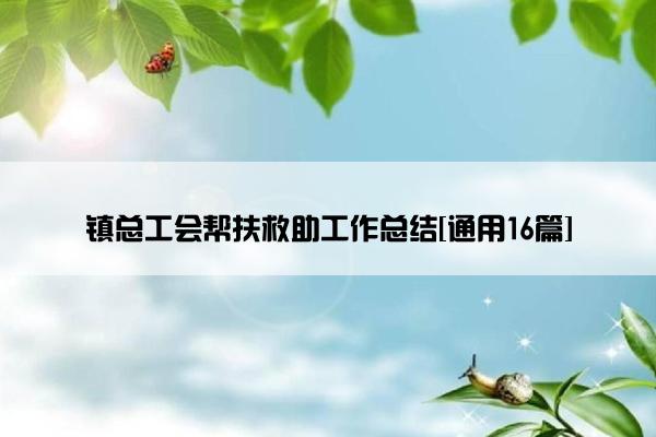 镇总工会帮扶救助工作总结[通用16篇]