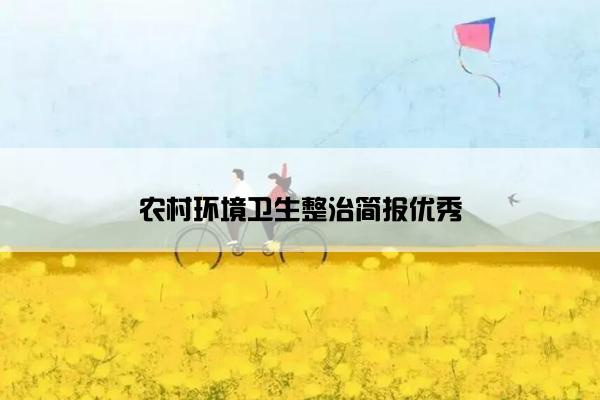 农村环境卫生整治简报优秀