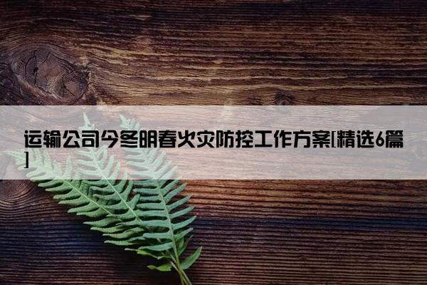 运输公司今冬明春火灾防控工作方案[精选6篇]