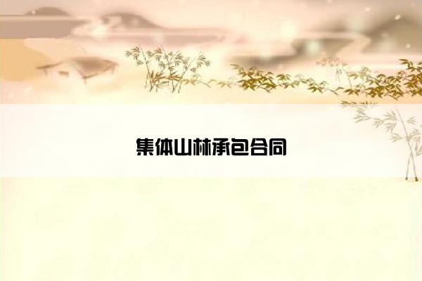 集体山林承包合同