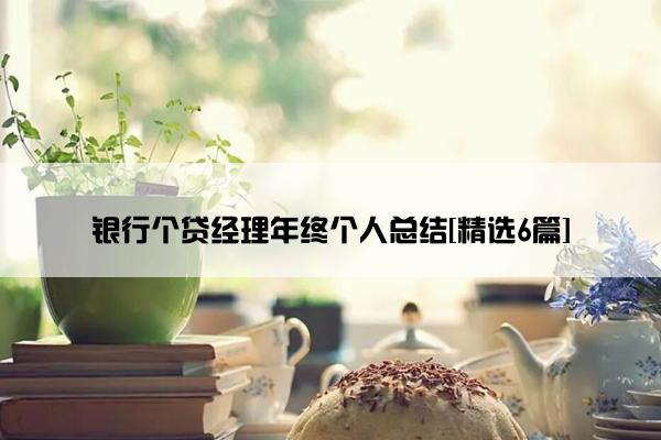 银行个贷经理年终个人总结[精选6篇]