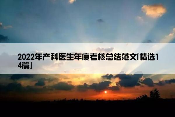 2022年产科医生年度考核总结范文[精选14篇]
