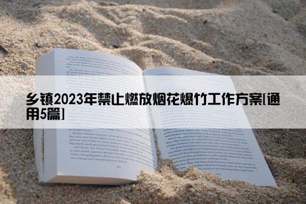 乡镇2023年禁止燃放烟花爆竹工作方案[通用5篇]