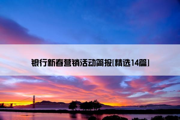 银行新春营销活动简报[精选14篇]