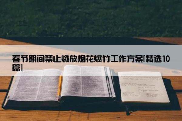 春节期间禁止燃放烟花爆竹工作方案[精选10篇]