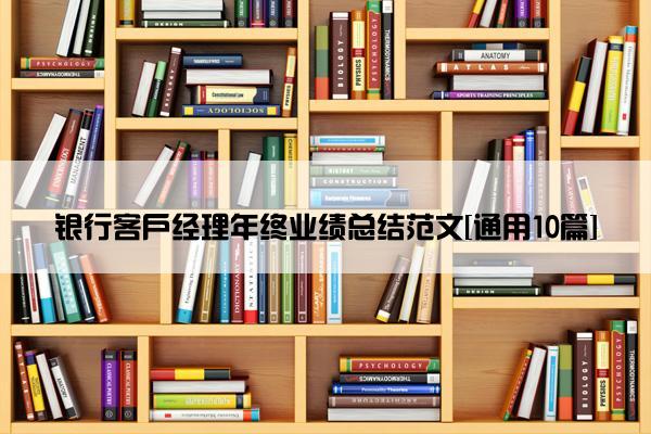 银行客户经理年终业绩总结范文[通用10篇]