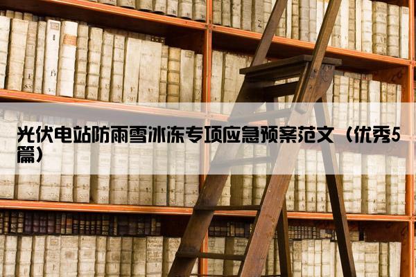 光伏电站防雨雪冰冻专项应急预案范文（优秀5篇）