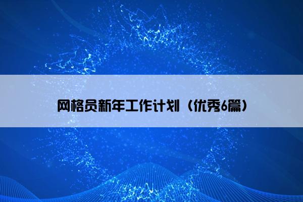 网格员新年工作计划（优秀6篇）