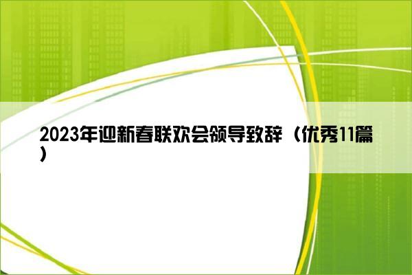 2023年迎新春联欢会领导致辞（优秀11篇）