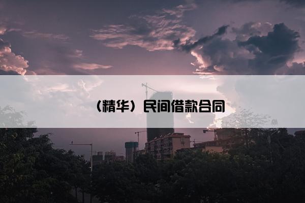 （精华）民间借款合同