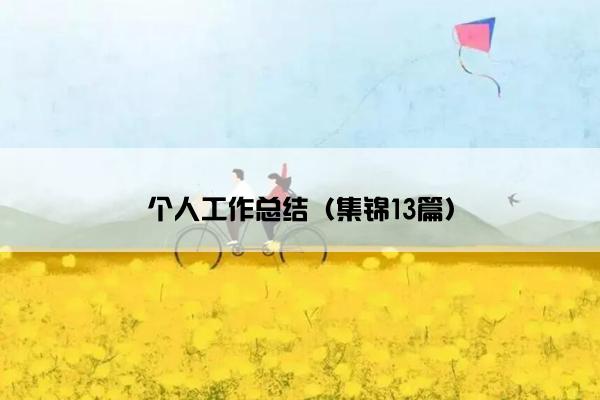 个人工作总结（集锦13篇）