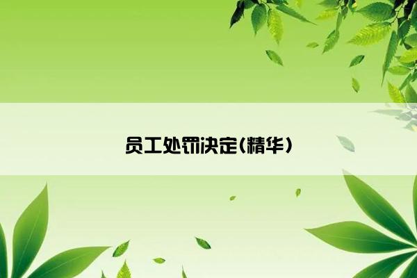 员工处罚决定(精华)
