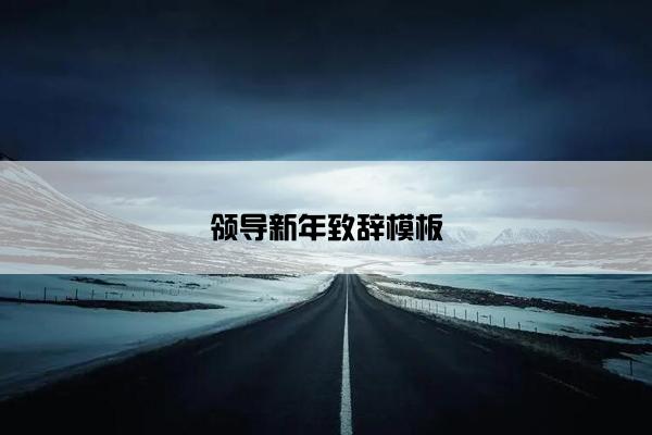 领导新年致辞模板