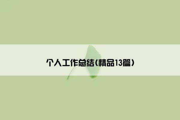 个人工作总结(精品13篇)