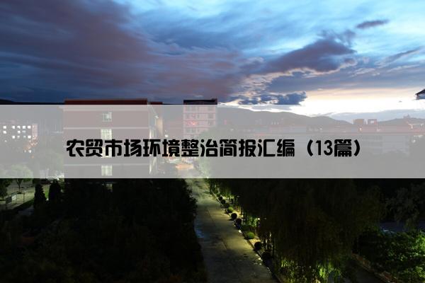 农贸市场环境整治简报汇编（13篇）