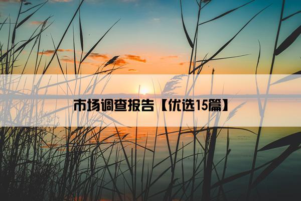 市场调查报告【优选15篇】