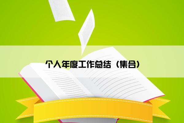 个人年度工作总结（集合）