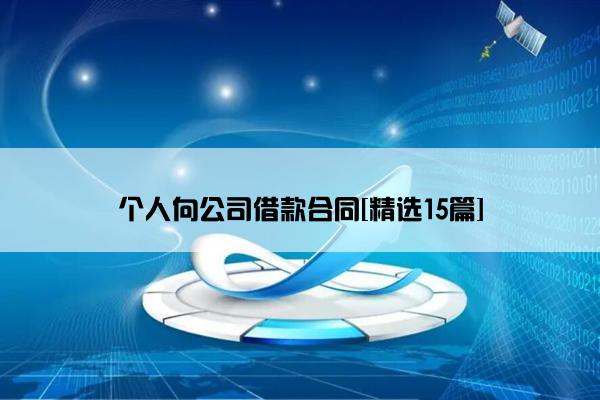 个人向公司借款合同[精选15篇]