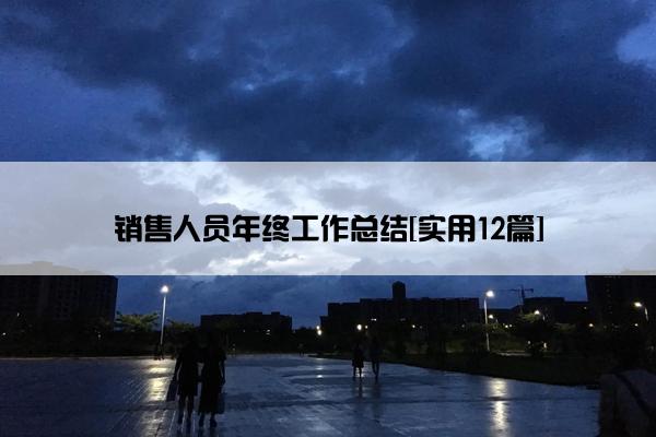 销售人员年终工作总结[实用12篇]