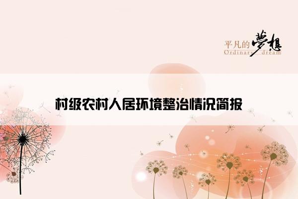 村级农村人居环境整治情况简报