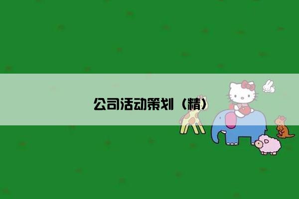 公司活动策划（精）